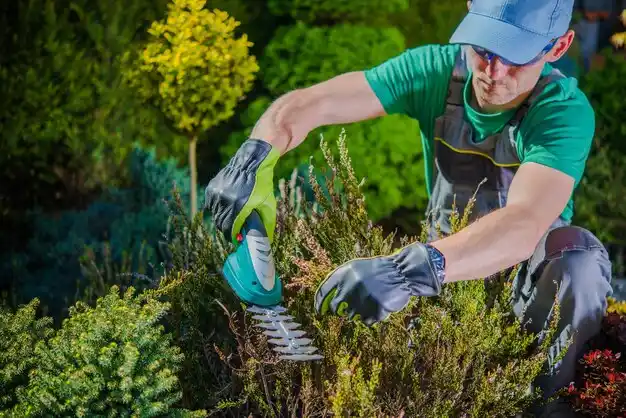 landscaping services Blanchard